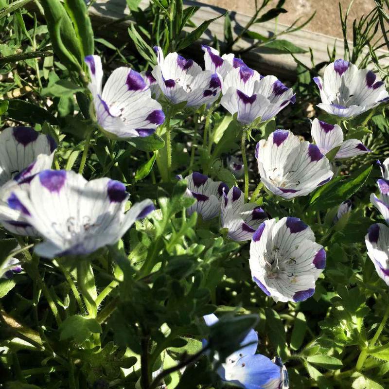 36 Opportunities After COVID-19