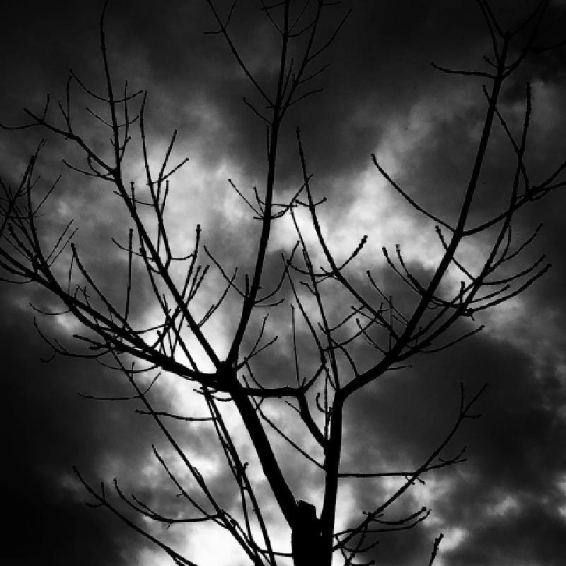 5 Steps for Friending (or Unfriending) Excuse