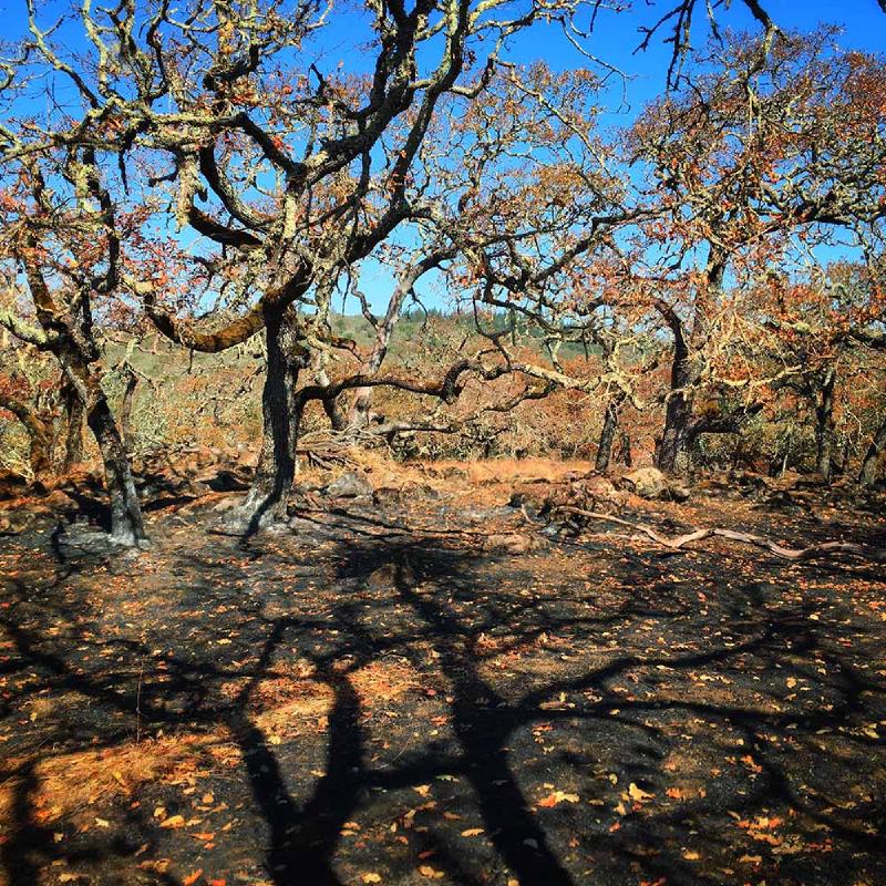 Build Self-Awareness: How to Use Your Environment