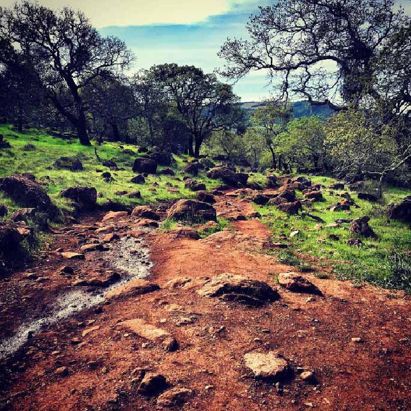 Build Self-Awareness - Perspectives Can Be Like Allergies