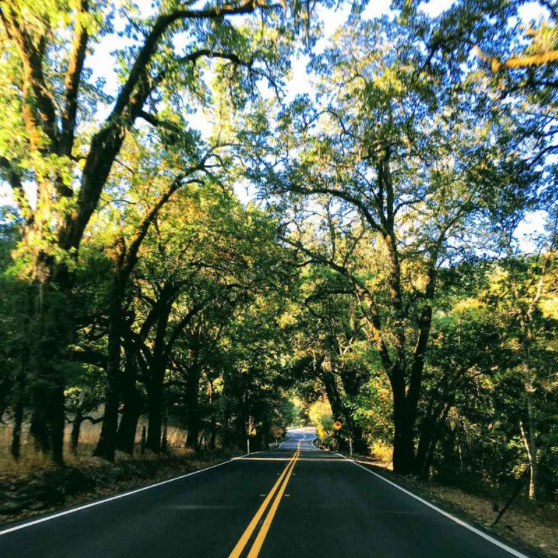 Build Self-Awareness: Your Need For Certainty