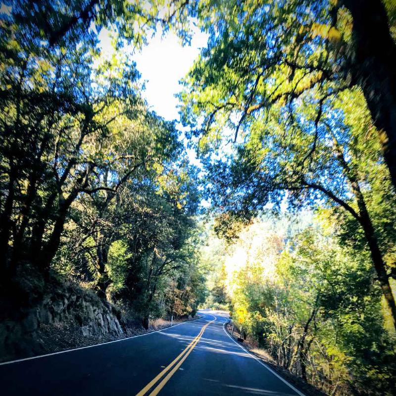 Build Self-Awareness: Your Need For Reason