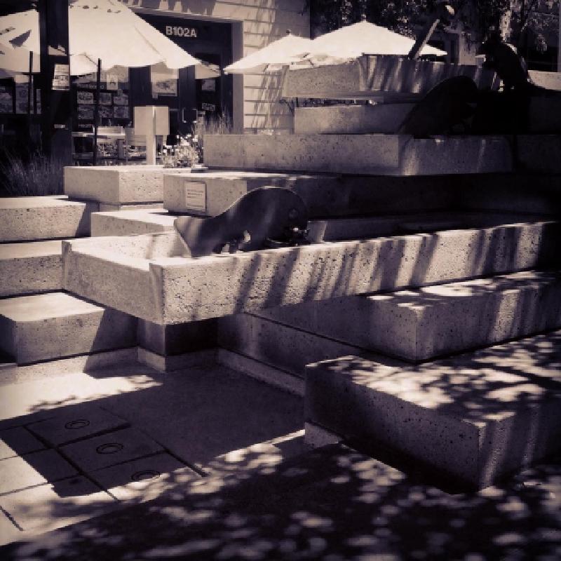 The Burden of Awareness (And What To Do About It)