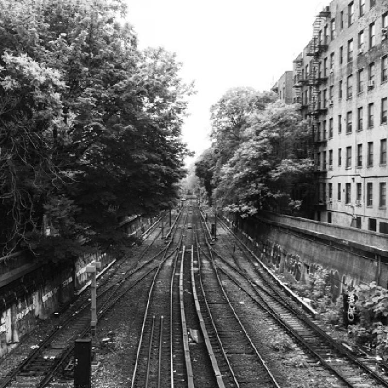 Discover The Puzzling Truth About Human Power