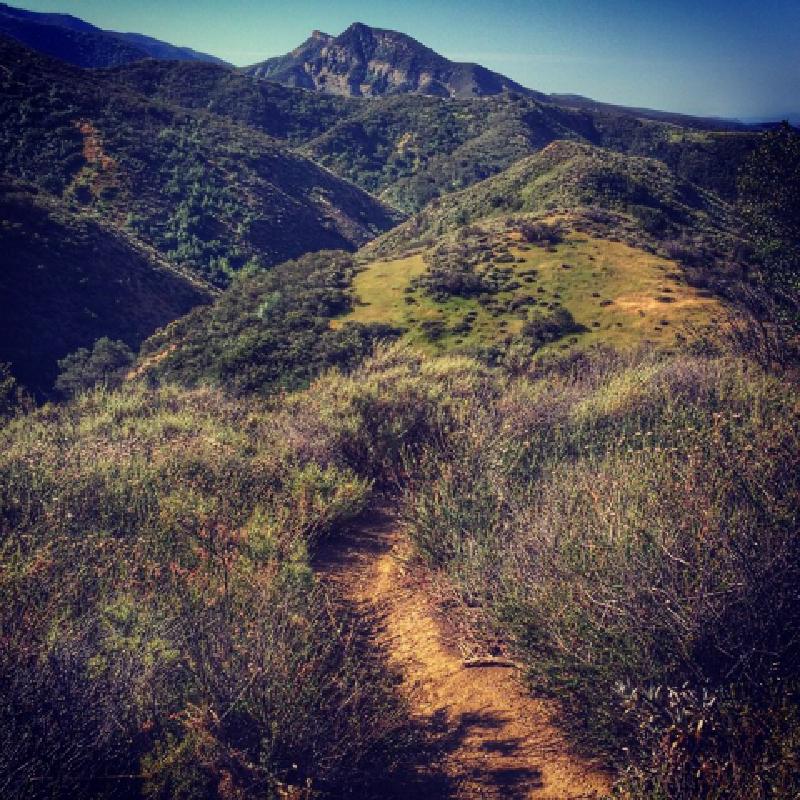 Everything You Need to Know About an Introspective Agent