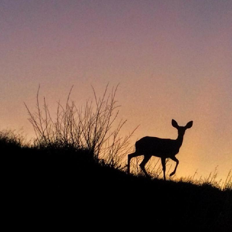 Expectation Versus Agreement