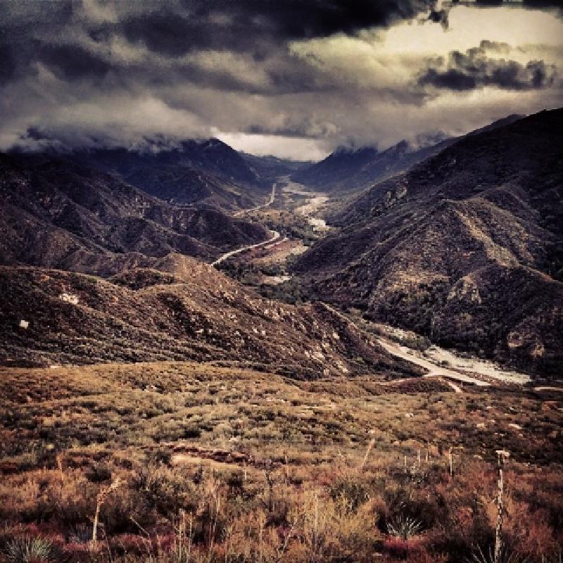 How to Confront The Bear In Your Blind Spot