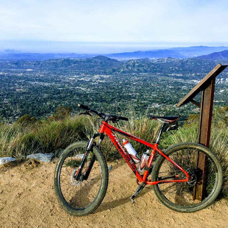 Insights/Optimized/How To Experience Your Experiences. Better.