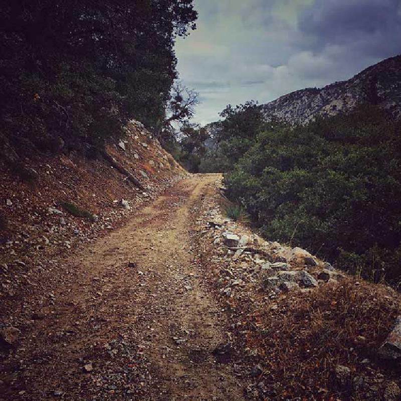 Self-awareness for entrepreneurs: Knowledge and Wisdom