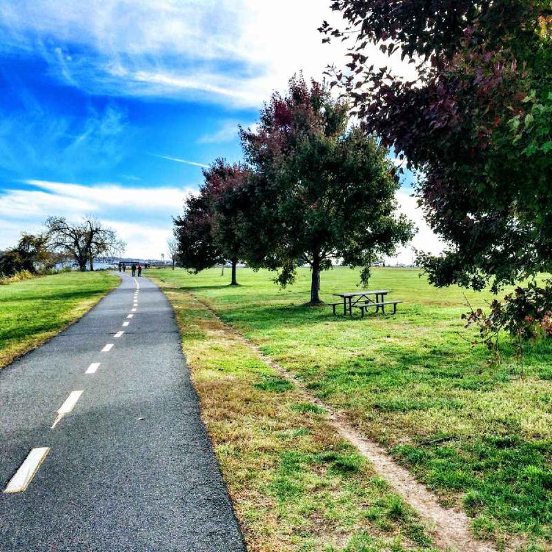 If Intention Is Received