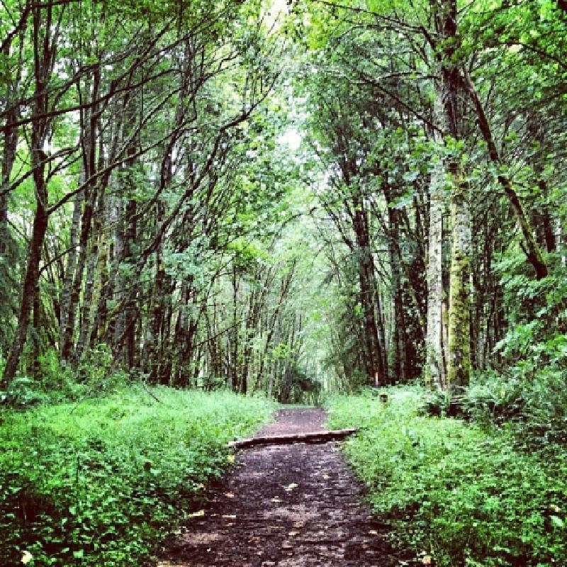 Let Life Destroy You (Warning: Provocative) 