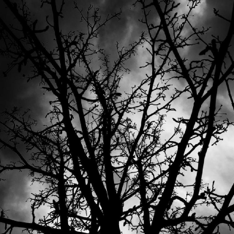 Perspective Taking: I Am Your Enemy, Meet Me, I Dare You (Provocative) 