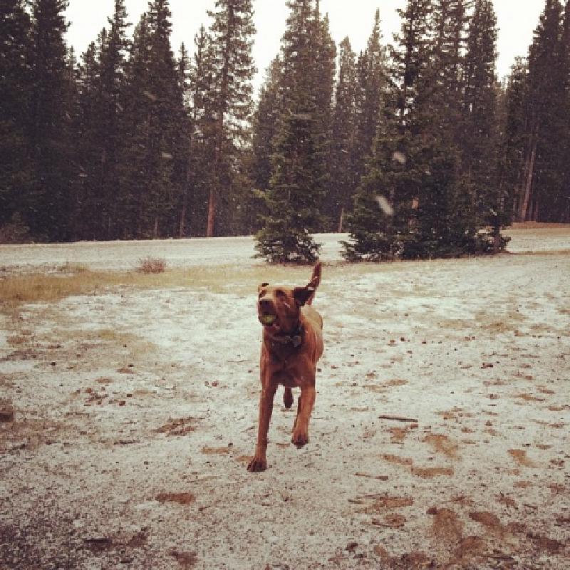 The Place Beyond Travel