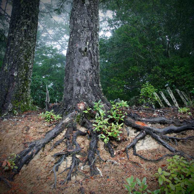 Mental Tools – The Power of Being Grounded