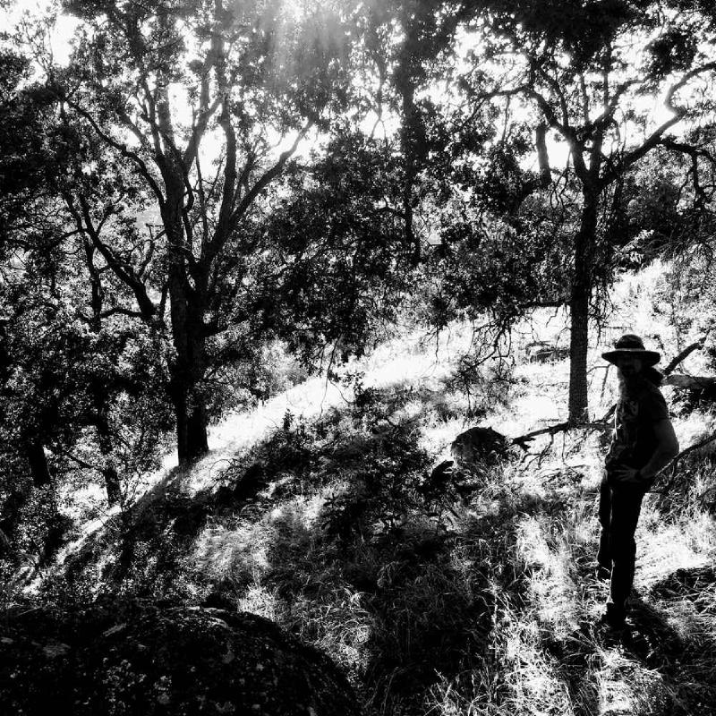 Mental Tools - The Range of Who You Are