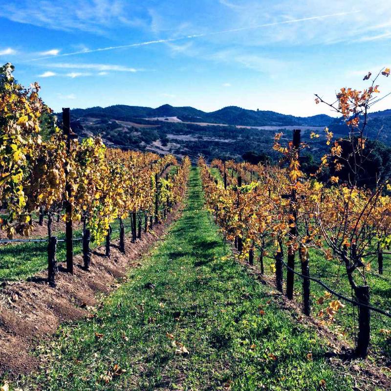 The Seasons Of Business