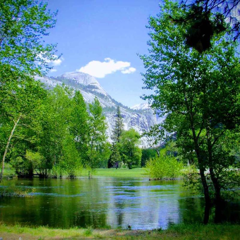 The Side Effects of Stagnant Language