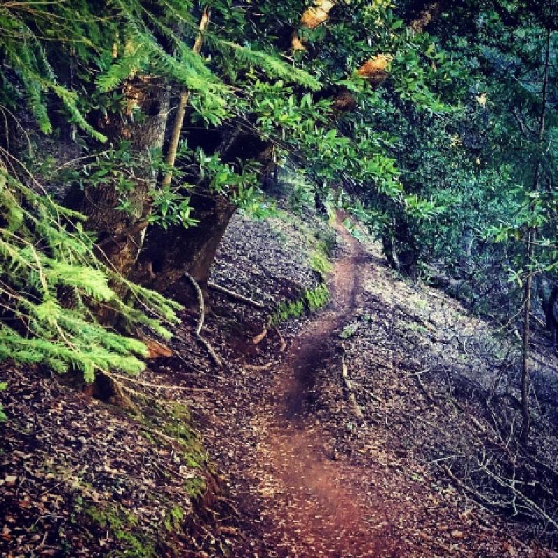 The Strength You Get From Letting Go (Of Everything?)