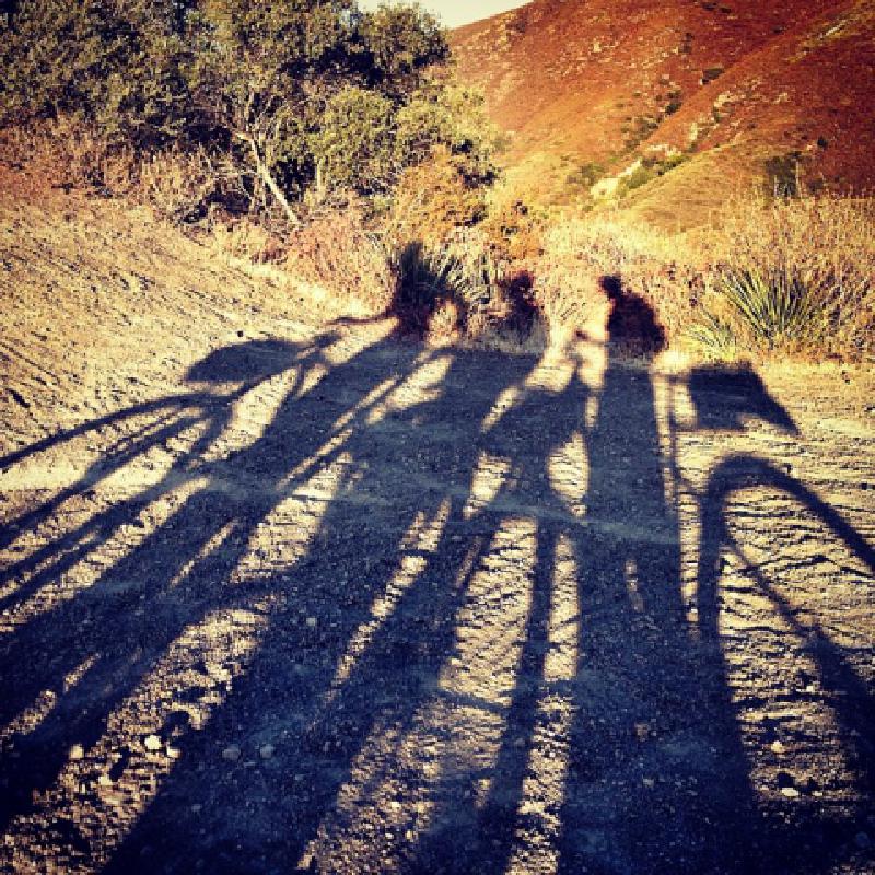 The Unrealized Powerful Potential of Self-Awareness