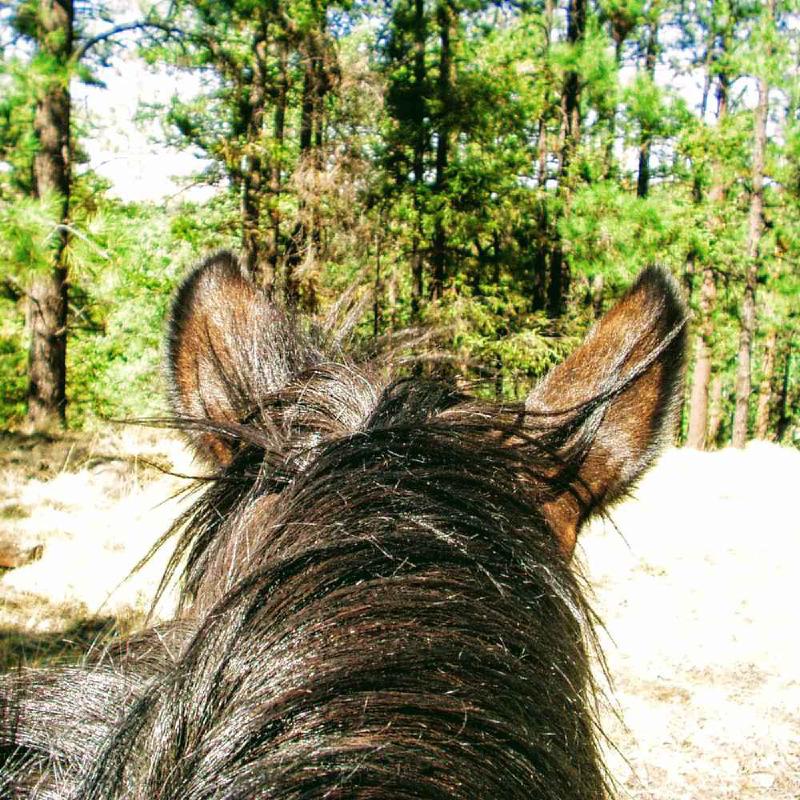 Mental Tools: When We Feel Safe