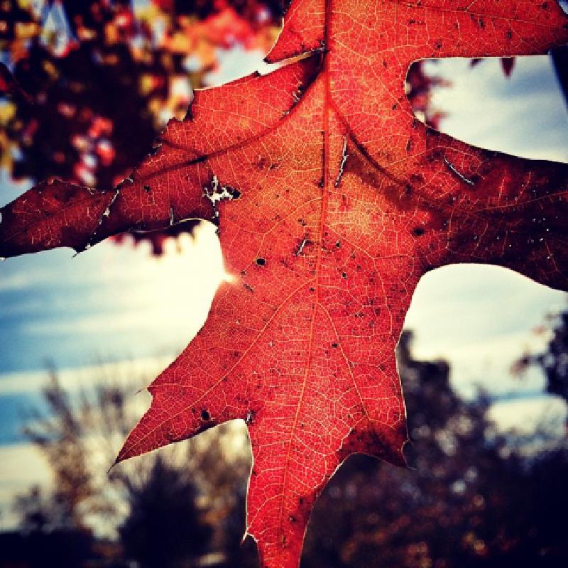 Why Transparency Creates Momentum For Startups